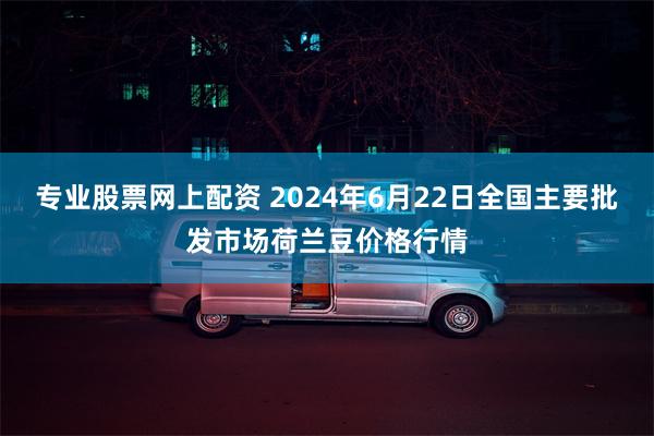 专业股票网上配资 2024年6月22日全国主要批发市场荷兰豆价格行情