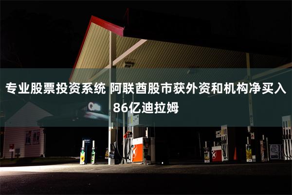 专业股票投资系统 阿联酋股市获外资和机构净买入86亿迪拉姆