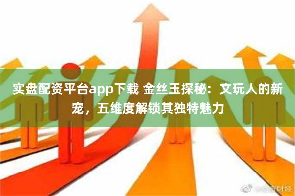 实盘配资平台app下载 金丝玉探秘：文玩人的新宠，五维度解锁其独特魅力