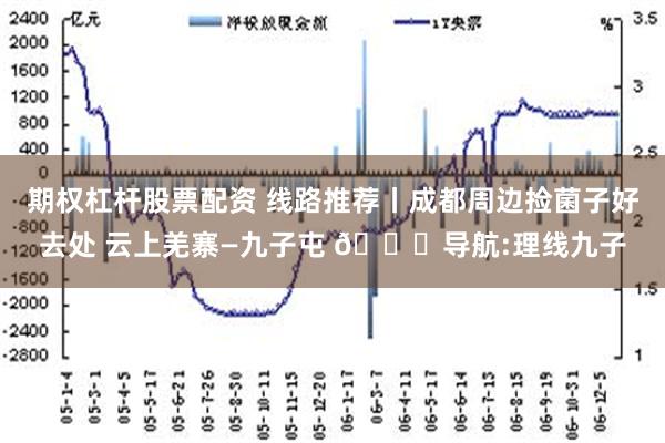 期权杠杆股票配资 线路推荐丨成都周边捡菌子好去处 云上羌寨—九子屯 🚚导航:理线九子