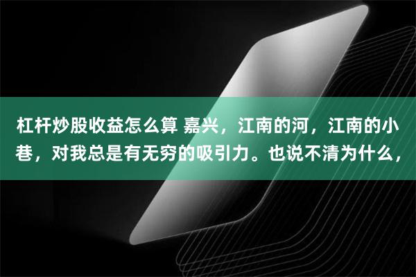 杠杆炒股收益怎么算 嘉兴，江南的河，江南的小巷，对我总是有无穷的吸引力。也说不清为什么，