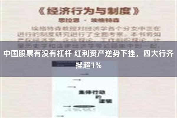 中国股票有没有杠杆 红利资产逆势下挫，四大行齐挫超1%