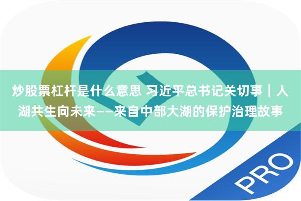 炒股票杠杆是什么意思 习近平总书记关切事｜人湖共生向未来——来自中部大湖的保护治理故事