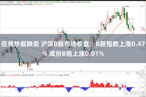 在线炒股融资 沪深B股市场收盘：B股指数上涨0.47% 成份B指上涨0.01%