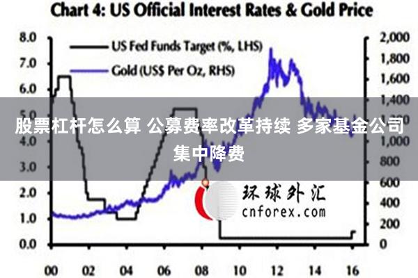 股票杠杆怎么算 公募费率改革持续 多家基金公司集中降费