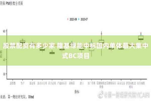 股票配资有多少家 隆基绿能中标国内单体最大集中式BC项目