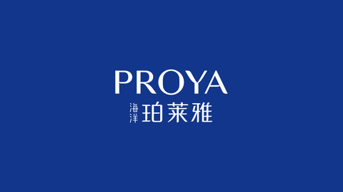 NG导航品牌Logo全新升级
